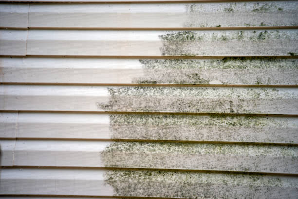 Moving and Downsizing Cleanouts in Concord, MO