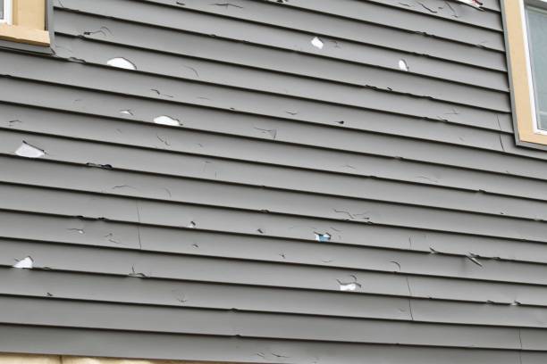 Best Recycling Services for Junk  in Concord, MO