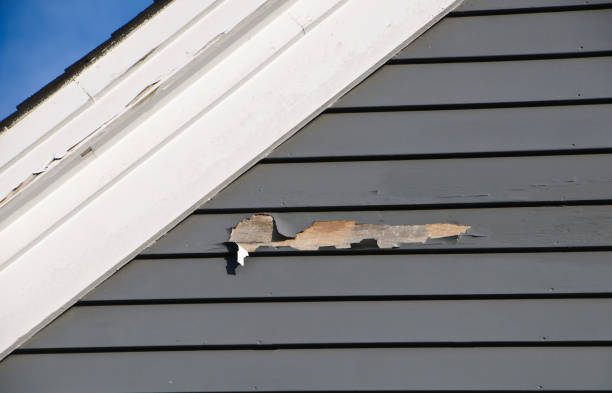 Trusted Concord, MO Junk Removal Experts